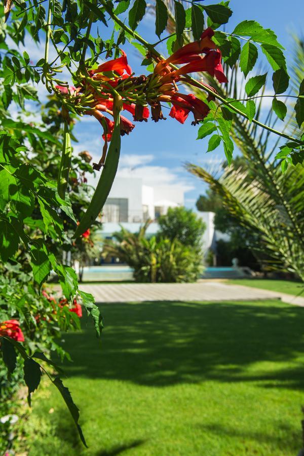 La Villa Majorelle Pertuis Esterno foto