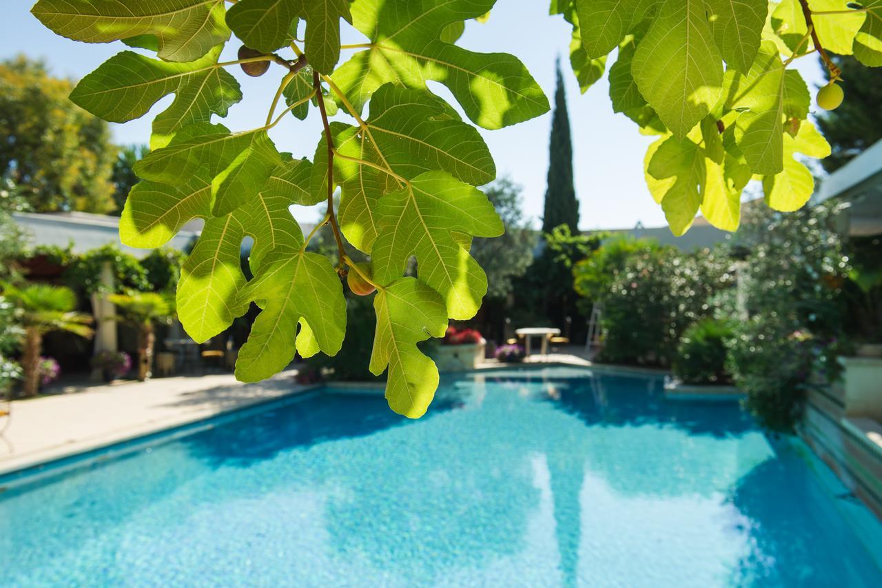 La Villa Majorelle Pertuis Esterno foto